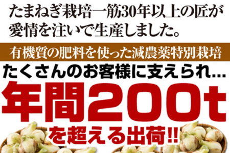 今井ファームの淡路島たまねぎ「かくし玉」 2kg　　[玉ねぎ 玉葱 タマネギ 玉ねぎ 淡路島産 たまねぎ 玉ねぎ 玉ねぎ 玉ねぎ 玉ねぎ 玉ねぎ]