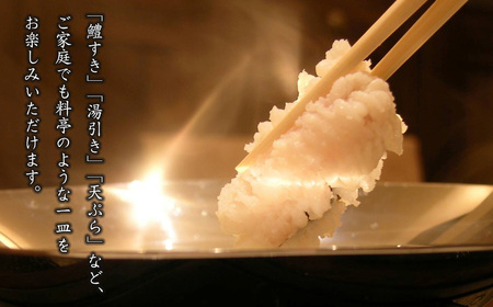 活〆淡路島産 鱧 (はも) 骨切り 【鮮度自慢】 1kg(500g×2袋) 冷凍