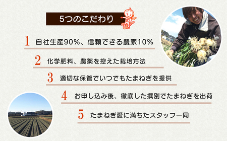 淡路島たまねぎ 歩-AYUMU- 10kg　　[玉ねぎ 玉葱 タマネギ 玉ねぎ 淡路島産 玉ねぎ 玉ねぎ 玉ねぎ 玉ねぎ 玉ねぎ]