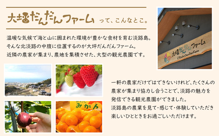 淡路島の温暖な気候で育ったいちご・いちじく・みかんを使った３種のフルーツジャムセット