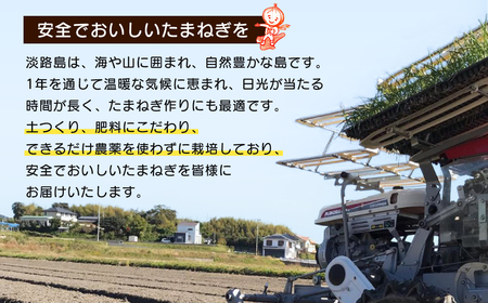 【新たまねぎ】淡路島たまねぎ 歩-AYUMU- 5kg【発送時期：2024年3月～6月上旬頃】