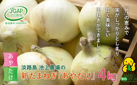 【新たまねぎ】淡路島 池上農場の「あやたけ」4kg【発送時期:2023年3月下旬~5月頃】