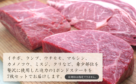 淡路牛希少部位ステーキ 7ポンド食べ比べ 約450ｇ×7枚　　[冷凍 牛肉 おすすめ]
