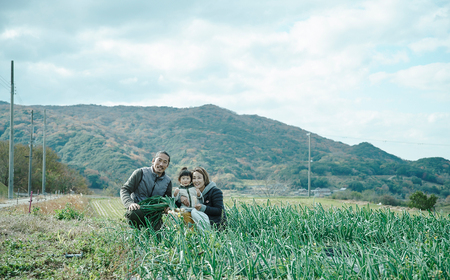 葉玉ねぎ 2.5kg【発送時期:2026年1月~3月頃】 淡路島産