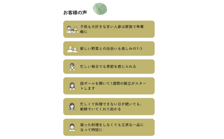 ご家庭向けお野菜セット~旬のおまかせBOX~