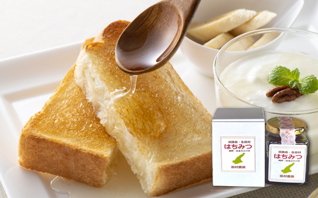 島のはちみつ 180g×2本 国産 純粋はちみつ 非加熱