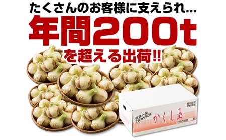 【新たまねぎ】今井ファームの淡路島たまねぎ「かくし玉」5kgとたまねぎスープ10食【発送時期2025年4月下旬～5月頃】