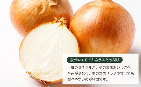 いざなぎ農園の淡路島たまねぎ 10kg　　[玉ねぎ 玉葱]