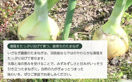 いざなぎ農園の淡路島たまねぎ 10kg　　[玉ねぎ 玉葱]