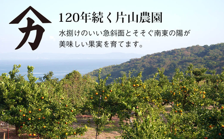 片山農園の淡路島みかん(温州みかん)3.0kgとキウイ2.0kg【サイズいろいろS～2Lサイズ】