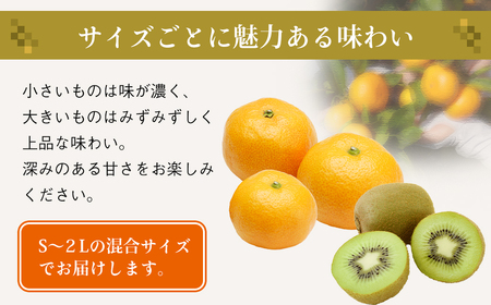 片山農園の淡路島みかん(温州みかん)3.0kgとキウイ2.0kg【サイズいろいろS～2Lサイズ】