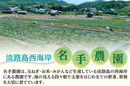 【新たまねぎ】名手農園の淡路島特産玉ねぎとお米【発送時期：2024年3月～5月頃】