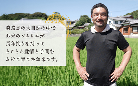 野添農園のコシヒカリ 5kg「ひょうご安心ブランド」　[精米 白米]