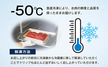 【淡路ビーフ】きりおとし600g　切落し 切り落し  黒毛和牛 牛肉