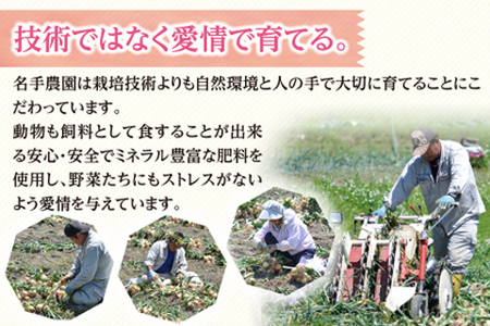 【定期便】名手農園の淡路島特産玉ねぎ(5kg)とお米(3kg)の10ヶ月コース