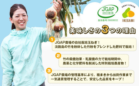 【新たまねぎ】淡路島 池上農場の「あやたけ」5kg【発送時期：2024年3月下旬～5月頃】