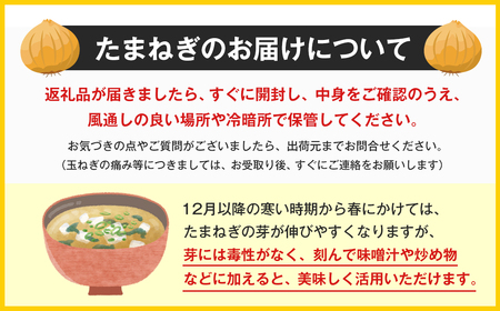 【定期便】淡路島 池上農場の完熟たまねぎ「あやたけ」10kg　12ヶ月コース　　[玉ねぎ 玉葱]