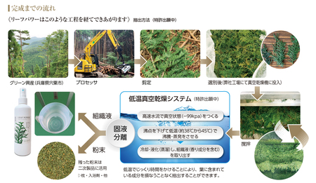 AX2　宍粟市産のヒノキ葉　リーフパワーミストタイプ３本セット（除菌・抗菌・消臭）