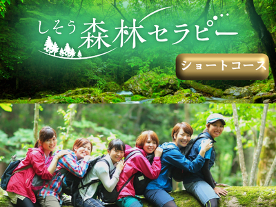 BE2　しそう森林セラピー　ショートコース　【 セラピー 体験 アクティビティ 森林浴 新緑 紅葉 健康増進 癒し 散歩 ウォーキング ハイキング 登山 おでかけ 兵庫県 宍粟市 】