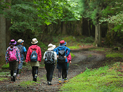 BE2　しそう森林セラピー　ショートコース　【 セラピー 体験 アクティビティ 森林浴 新緑 紅葉 健康増進 癒し 散歩 ウォーキング ハイキング 登山 おでかけ 兵庫県 宍粟市 】