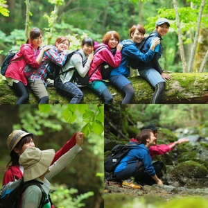 BE2　しそう森林セラピー　ショートコース　【 セラピー 体験 アクティビティ 森林浴 新緑 紅葉 健康増進 癒し 散歩 ウォーキング ハイキング 登山 おでかけ 兵庫県 宍粟市 】