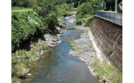 BH2　【一日一組限定】ルアーフライ専用　管理釣り場　一日貸切り権　【 釣り つり 体験 チケット 渓流釣り アマゴ フライフィッシング 竿 ルアー フライ 限定 貸切】