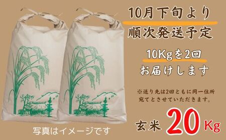 X1【 令和7年産 新米 受付開始 】しそうのおいしい お米　コシヒカリ 玄米 20kg　【 新米 米 こめ コメ コシヒカリ こしひかり 玄米 兵庫県産 宍粟市産 兵庫県 宍粟市 】