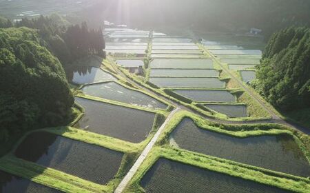 AJ2【令和7年産】新米 先行受付 播州 コシヒカリ 「 飯見の郷 」 玄米 5kg　【 米 こめ コメ 精米 玄米 7年産 令和7年 新米 こしひかり 秀 棚田 限定 数量限定 兵庫県産 宍粟市産 しそうし 】