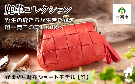 1点 てぃんくる先生 ショコラオレンジ 2018 がまぐち財布 1点