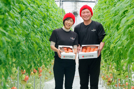 AP2　田中農園自慢のトマト4kg