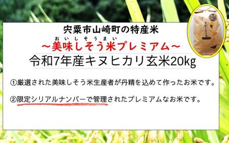 I11 キヌヒカリ 玄米 20Kg 数量限定 令和7年産 新米 美味しそう米 プレミアム【 お米 コメ きぬひかり 兵庫県 宍粟市 】
