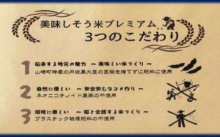 I11 キヌヒカリ 玄米 20Kg 数量限定 令和7年産 新米 美味しそう米 プレミアム【 お米 コメ きぬひかり 兵庫県 宍粟市 】