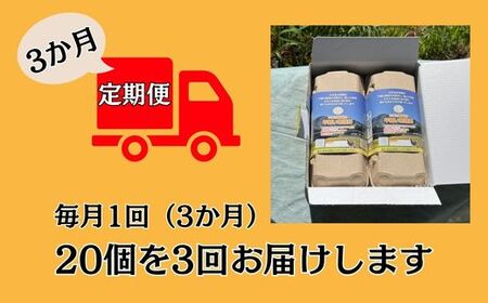 BQ6　いまい農場の 平飼い 有精卵 定期便（3か月） 合計60個（20個×3回）【 定期 3か月 複数回 赤玉 たまご タマゴ 玉子 平飼い 国産 こだわり 受賞 兵庫県 宍粟市 しそうし 】