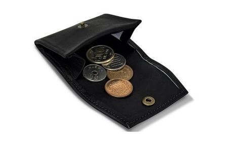 AO77 宍粟牛 コインケース【 財布 小銭入れ ミズノテクニクス ミズノ グラブ グローブ 宍粟牛 牛革 限定 ふるさと納税限定 シンプル スマート ビジネス 就職 祝い 贈り物 プレゼント】