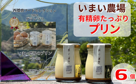 BQ1　平飼い 有精卵の プリン ６個　いまい農場　【 6個入 国産 濃厚 卵 たまご 有精卵 デザート スイーツ スィーツ 贈り物 兵庫県 宍粟市 しそうし 】
