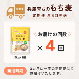 【定期便 年4回発送】兵庫育ちのもち麦5kg　[食物繊維 もちむぎ キラリモチ 国産 健康 加東市]  