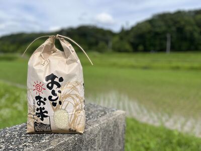 米 令和7年産 加東市東条地区産 キヌヒカリ 白米 5kg [ お米 こめ コメ きぬひかり 兵庫県産 ごはん 精米 ]