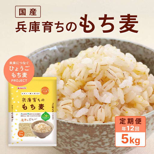 【定期便12回発送】兵庫育ちのもち麦5kg　[食物繊維 もちむぎ キラリモチ 国産 健康 加東市]