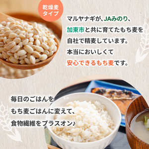 【定期便6回発送】兵庫育ちのもち麦5kg　[食物繊維 もちむぎ キラリモチ 国産 健康 加東市]