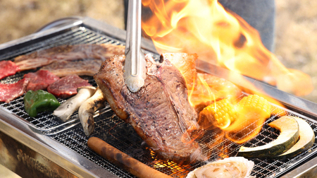 NIKKOEN プレミアム バーベキュープラン 大人1名利用券[ 日光園 アウトドア 手軽 手ぶら 焼肉 ステーキ シーフード 魚介 家族 ファミリー 花見 お花見 ]