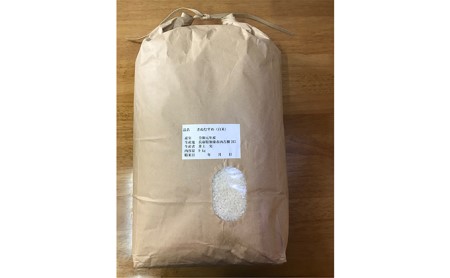 米 令和5年産 加東市産 きぬむすめ 白米 9kg