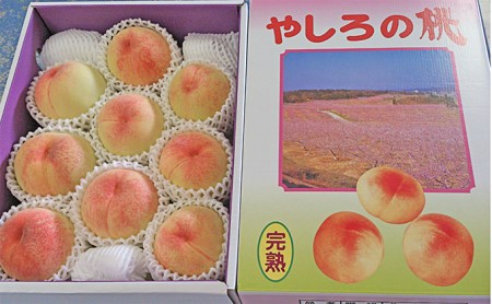 【糖度保証付】古跡農園の桃約3kg(糖度13度以上)
