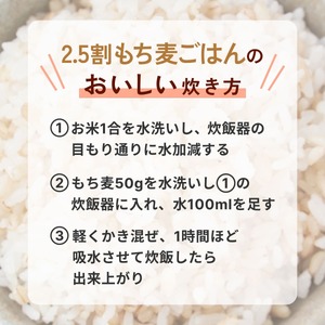 兵庫育ちの もち麦 10kg [国産 キラリモチ 食物繊維 ] 雑穀 モチ麦 