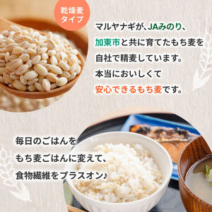 兵庫育ちの もち麦 5kg[国産 キラリモチ 食物繊維 ] 雑穀 