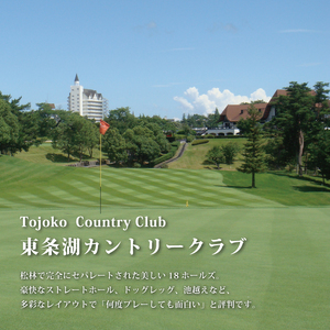 東条湖CC 平日 1名様 プレー券 昼食付 (4枚セット)【1月・2月ご利用不可】[ ゴルフ 加東市 兵庫県 関西 ゴルフ場 ゴルフ場利用権 チケット ]