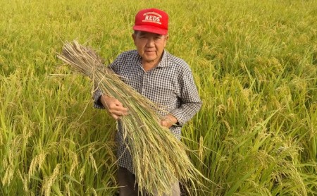 米 有機JAS 【令和6年産】 有機栽培 ヒノヒカリ 白米 5kg [米 こめ コメ 精米 有機JAS認証 習得済み ライス ご飯 おにぎり お弁当 和食 主食 国産 炭水化物 直送 産地直送 兵庫県産 日本産 ]