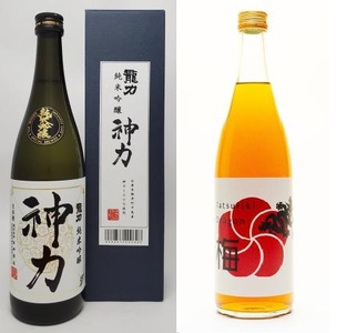 G-134　龍力　純米吟醸　神力・ドラゴン梅　各720mlセット