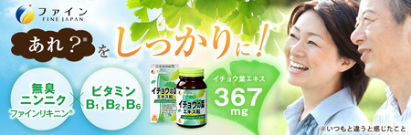 J-65 イチョウの葉エキス粒400粒×3個セット