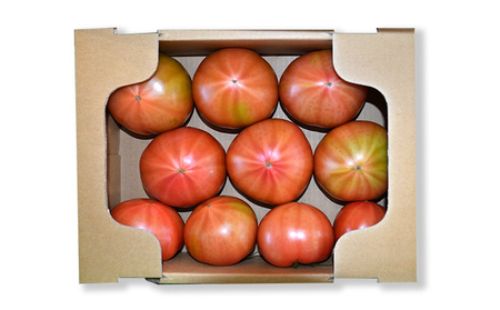 H-14　【昭和初期から受け継ぐ伝統栽培】酸味と甘みのバランスがよい「揖保川トマト」2kg【発送時期：12月～６月】