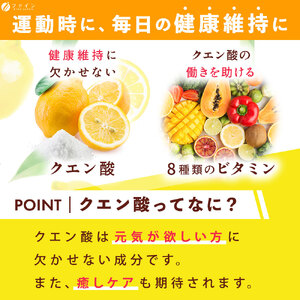 G-63　[ファイン]クエン酸スティック ４個セット